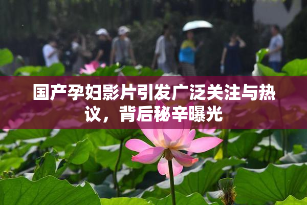 国产孕妇影片引发广泛关注与热议，背后秘辛曝光