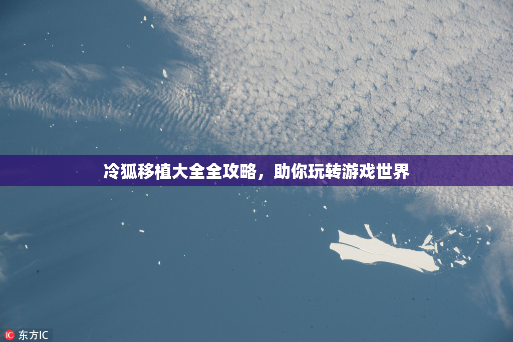 冷狐移植大全全攻略，助你玩转游戏世界