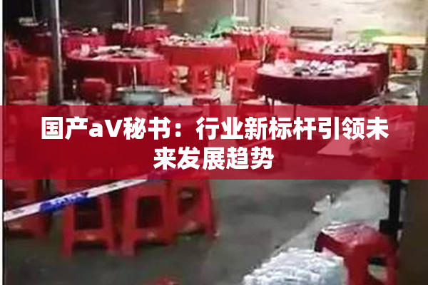 国产aV秘书：行业新标杆引领未来发展趋势
