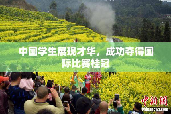 中国学生展现才华，成功夺得国际比赛桂冠