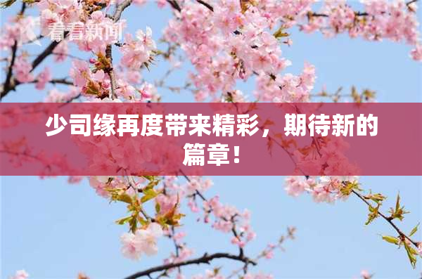 少司缘再度带来精彩，期待新的篇章！