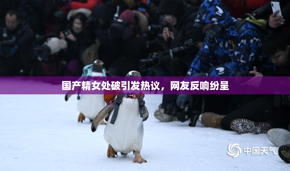 国产精女处破引发热议，网友反响纷呈