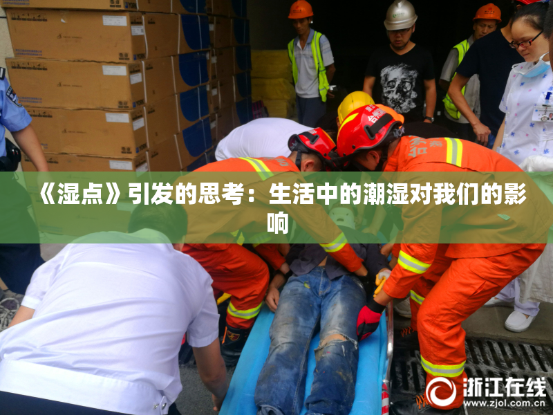 《湿点》引发的思考：生活中的潮湿对我们的影响
