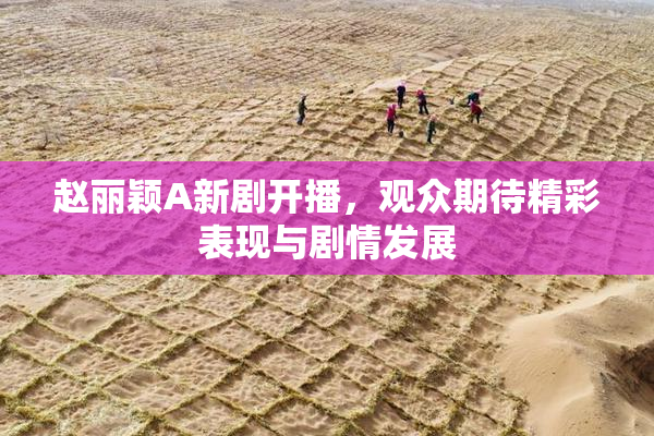 赵丽颖A新剧开播，观众期待精彩表现与剧情发展