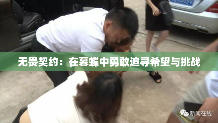 无畏契约：在暮蝶中勇敢追寻希望与挑战