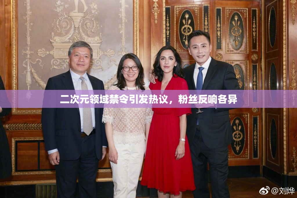 二次元领域禁令引发热议，粉丝反响各异