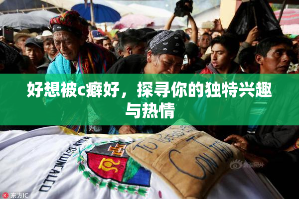 好想被c癖好，探寻你的独特兴趣与热情