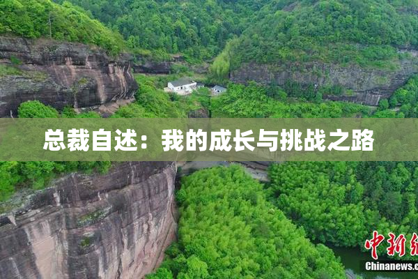 总裁自述：我的成长与挑战之路