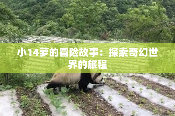 小14萝的冒险故事：探索奇幻世界的旅程