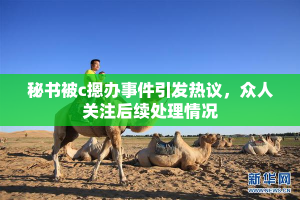 秘书被c摁办事件引发热议，众人关注后续处理情况