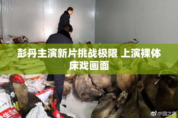 彭丹主演新片挑战极限 上演裸体床戏画面