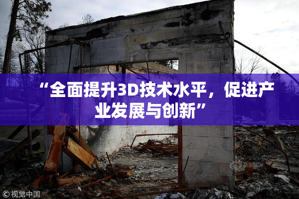 “全面提升3D技术水平，促进产业发展与创新”