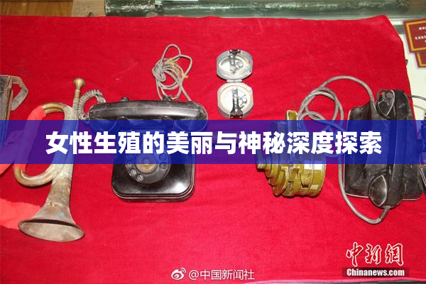 女性生殖的美丽与神秘深度探索