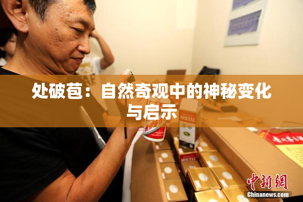 处破苞：自然奇观中的神秘变化与启示