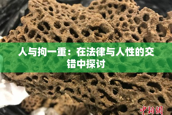 人与拘一重：在法律与人性的交错中探讨
