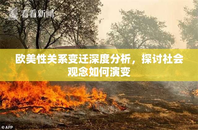 欧美性关系变迁深度分析，探讨社会观念如何演变