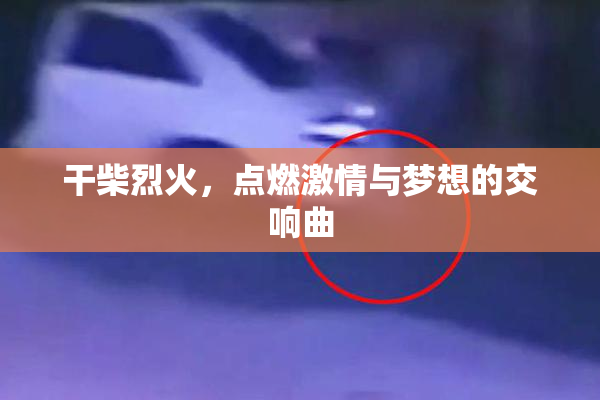 干柴烈火，点燃激情与梦想的交响曲