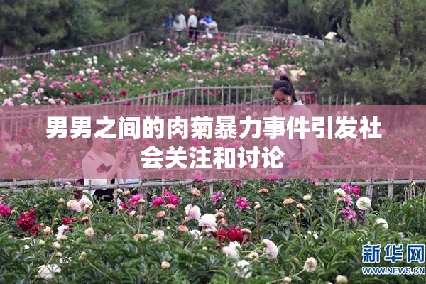 男男之间的肉菊暴力事件引发社会关注和讨论