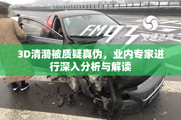3D清漪被质疑真伪，业内专家进行深入分析与解读