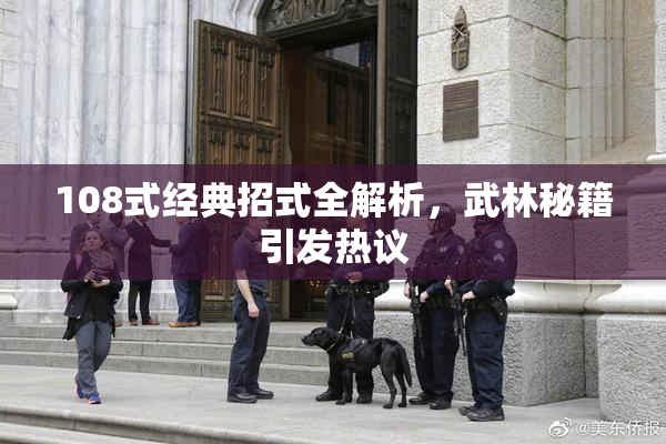 108式经典招式全解析，武林秘籍引发热议