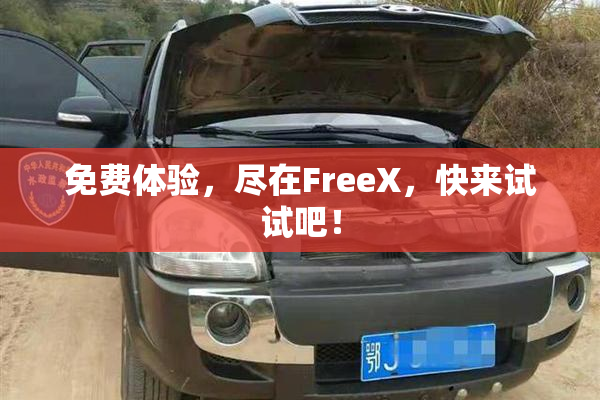 免费体验，尽在FreeX，快来试试吧！