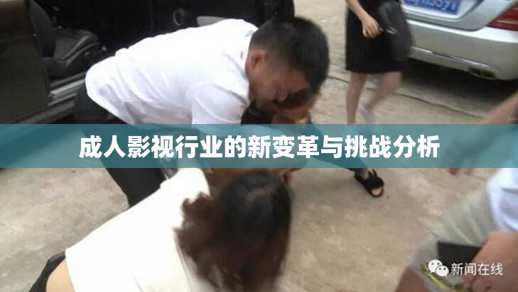成人影视行业的新变革与挑战分析
