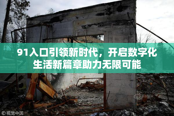 91入口引领新时代，开启数字化生活新篇章助力无限可能