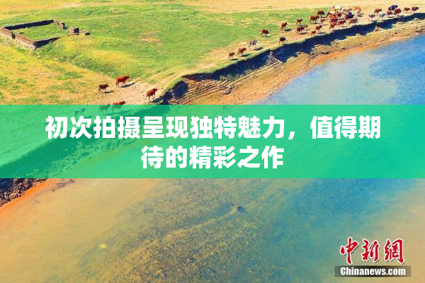 初次拍摄呈现独特魅力，值得期待的精彩之作