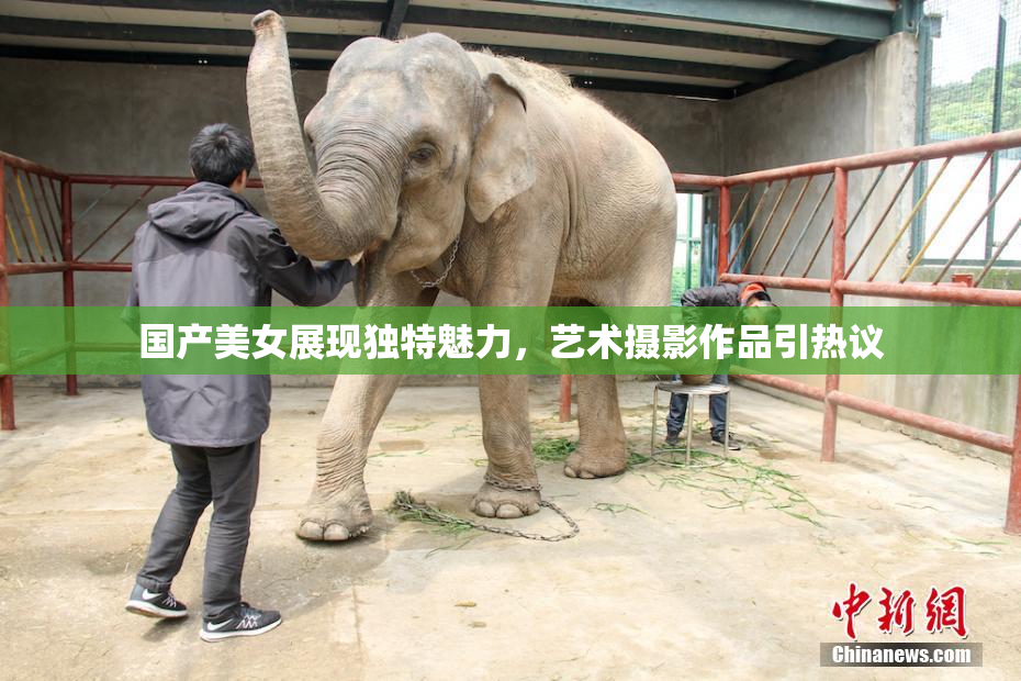 国产美女展现独特魅力，艺术摄影作品引热议