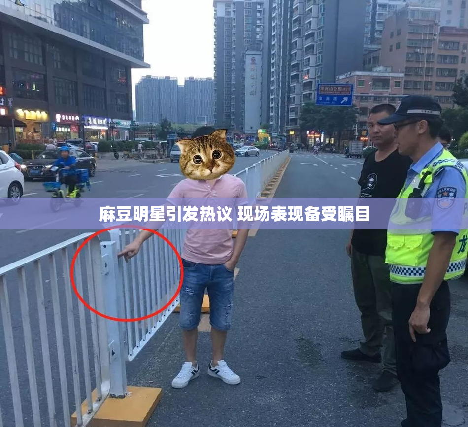 麻豆明星引发热议 现场表现备受瞩目