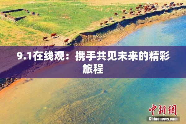 9.1在线观：携手共见未来的精彩旅程