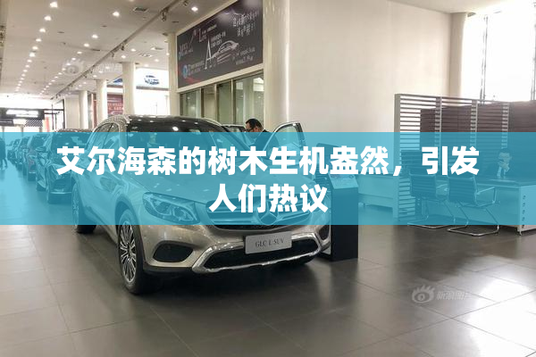 艾尔海森的树木生机盎然，引发人们热议