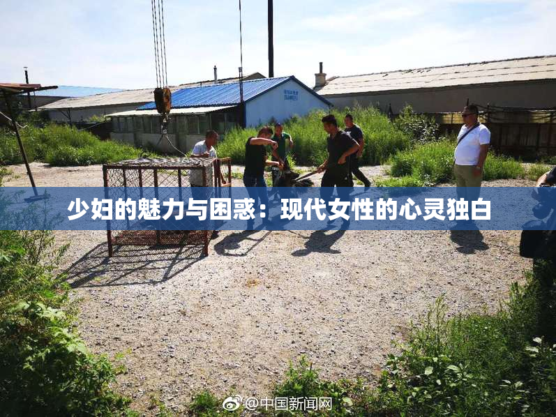 少妇的魅力与困惑：现代女性的心灵独白