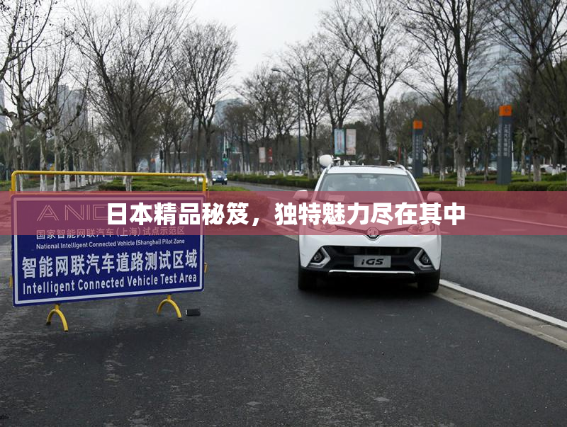 日本精品秘笈，独特魅力尽在其中