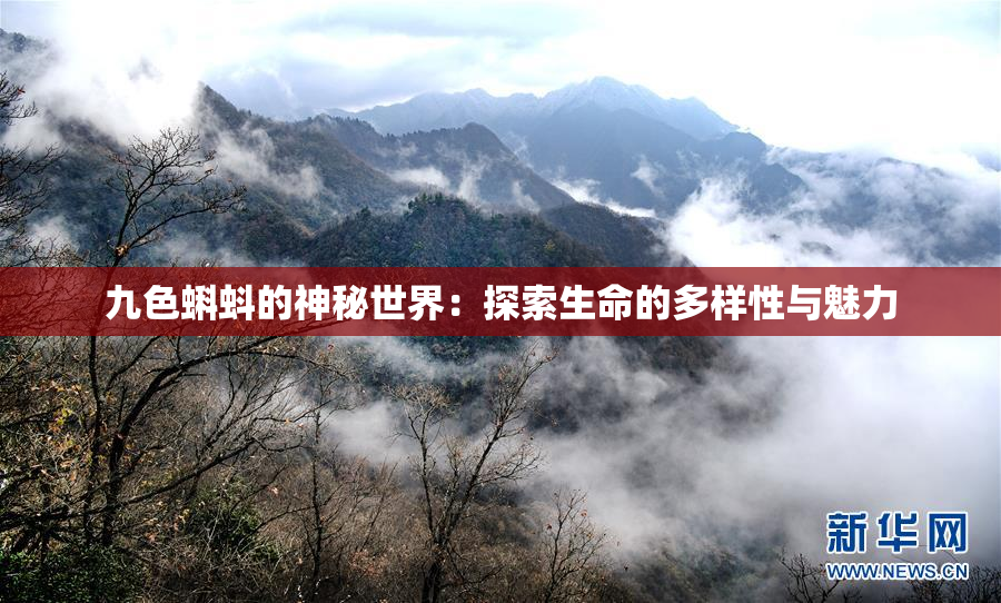 九色蝌蚪的神秘世界：探索生命的多样性与魅力