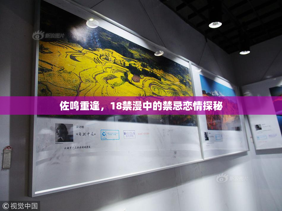 佐鸣重逢，18禁漫中的禁忌恋情探秘