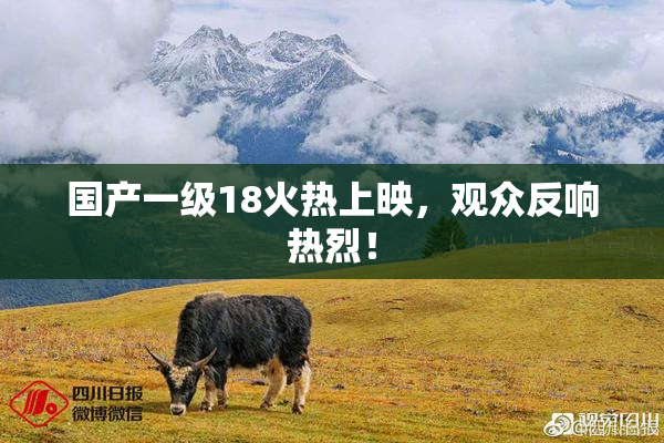 国产一级18火热上映，观众反响热烈！