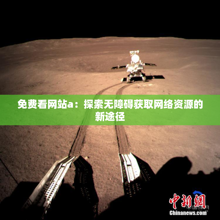 免费看网站a：探索无障碍获取网络资源的新途径