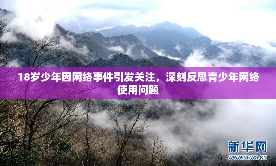 18岁少年因网络事件引发关注，深刻反思青少年网络使用问题