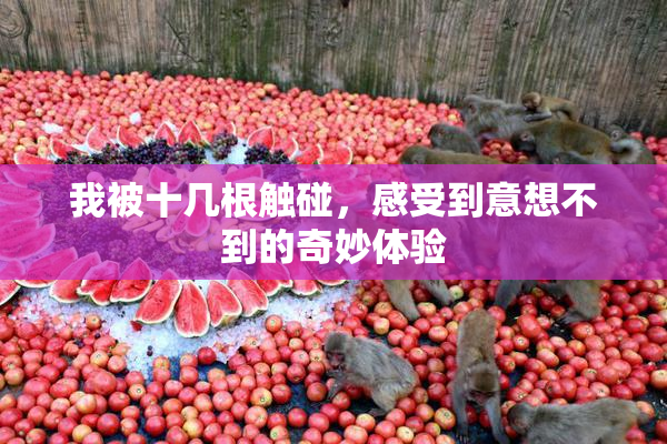 我被十几根触碰，感受到意想不到的奇妙体验