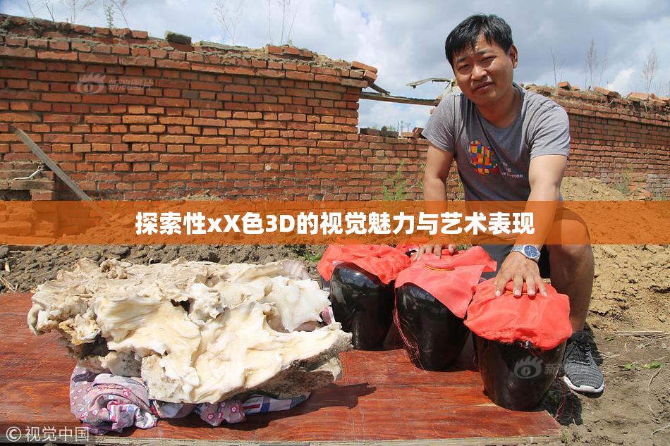 探索性xX色3D的视觉魅力与艺术表现