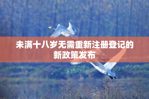 未满十八岁无需重新注册登记的新政策发布