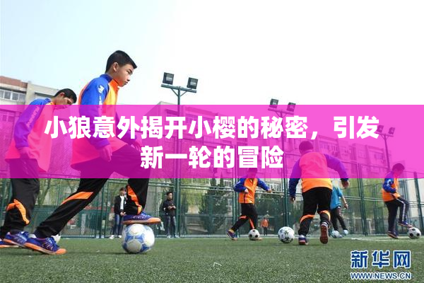 小狼意外揭开小樱的秘密，引发新一轮的冒险