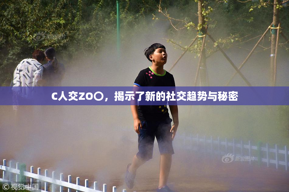 C人交ZO〇，揭示了新的社交趋势与秘密