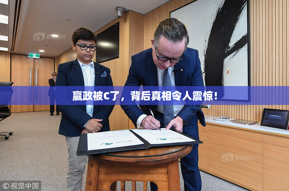 嬴政被C了，背后真相令人震惊！