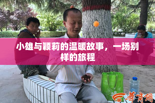 小雄与颖莉的温暖故事，一场别样的旅程