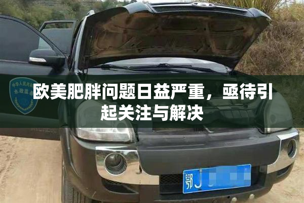 欧美肥胖问题日益严重，亟待引起关注与解决