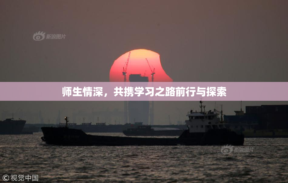 师生情深，共携学习之路前行与探索