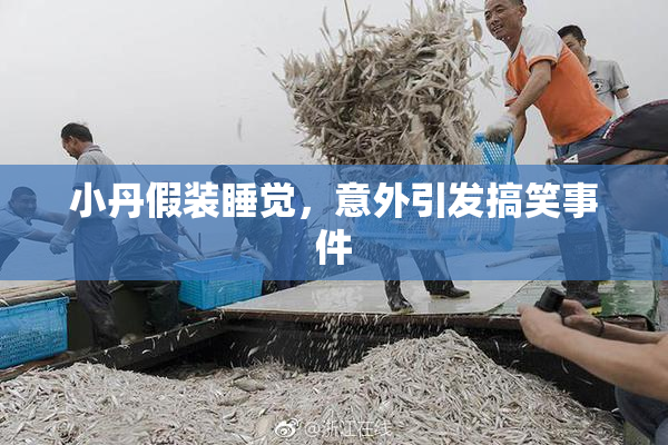 小丹假装睡觉，意外引发搞笑事件