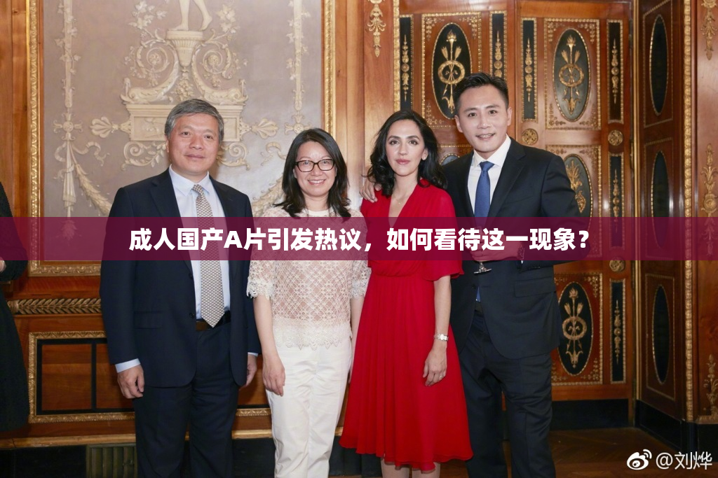 成人国产A片引发热议，如何看待这一现象？